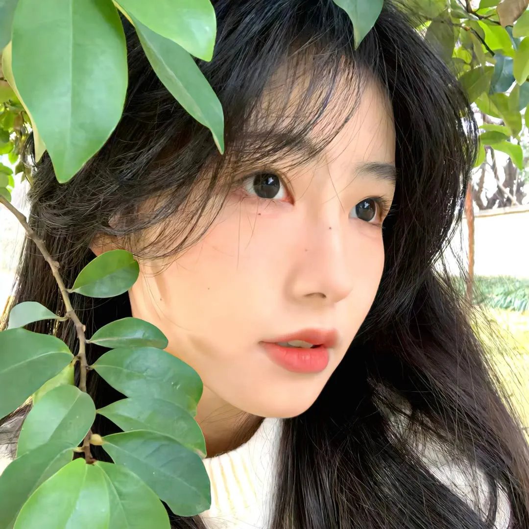合唱团指挥(短片)